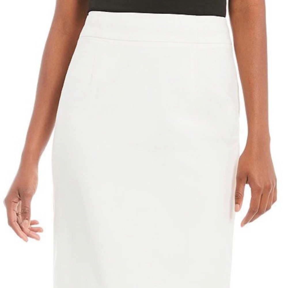 The Limited skirt